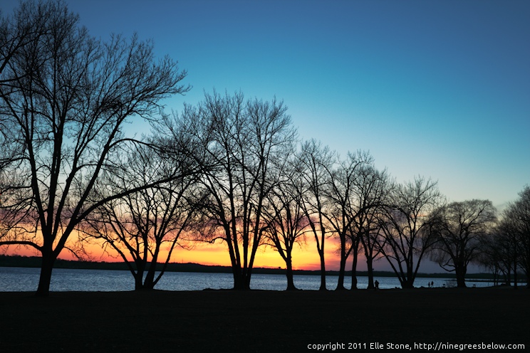 Tall, leafless trees and a few joggers and dog-walkers. Onondaga Lake is in the background.