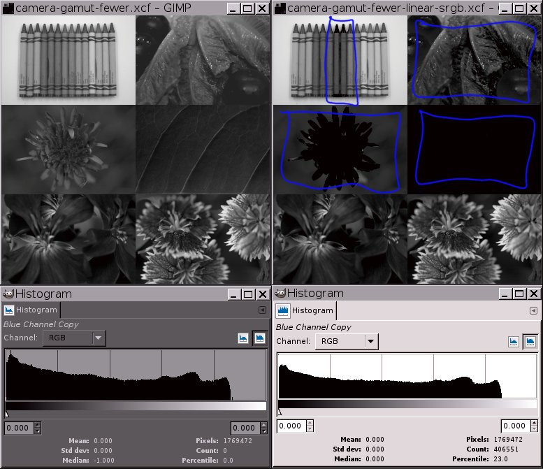 Sample images blue channel data