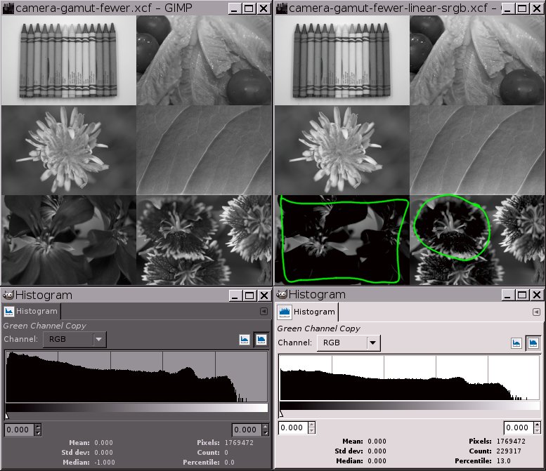 Sample images green channel data