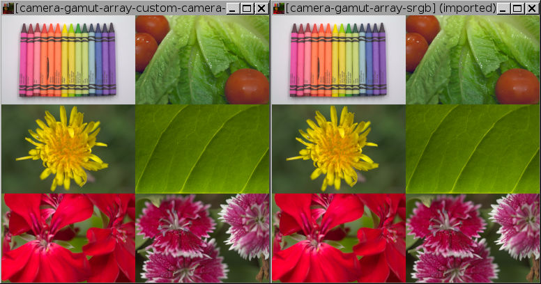 Sample images: crayons, lettuce and tomatos, dandelion, green leaf, red flowers, magenta flowers