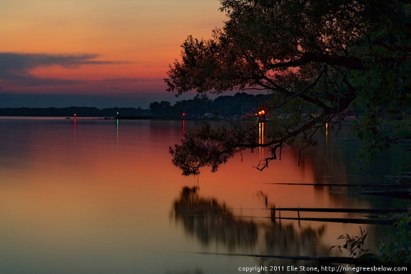 Pine branch over Onondaga Lake at twilight